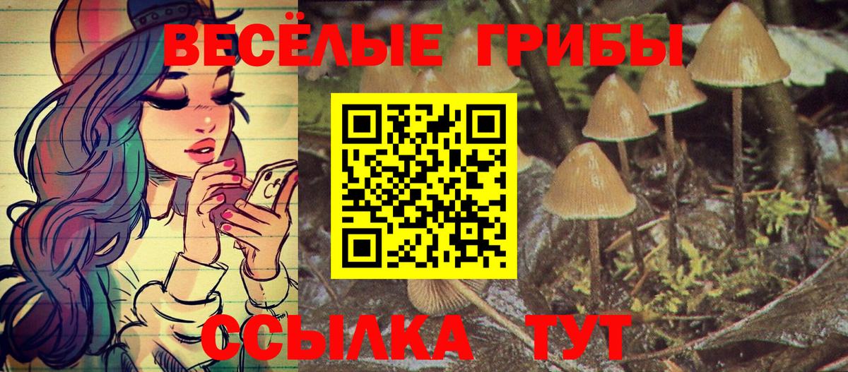 Галлюциногенные грибы GOLDEN TEACHER Батайск
