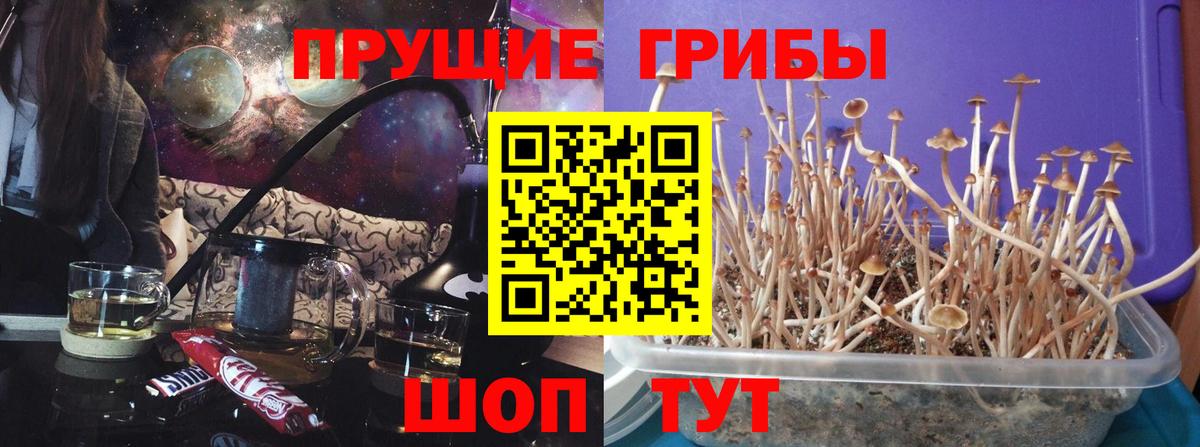 сколько стоит  Псилоцибиновые грибы GOLDEN TEACHER  Галлюциногенные грибы мухоморы  Вход с VPN  Батайск 